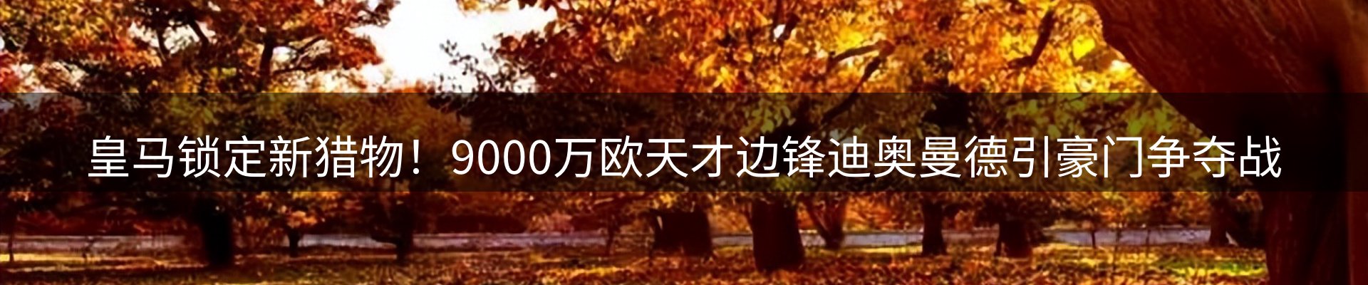 赛事资讯